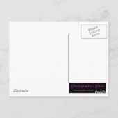 かわいいベビーのカワウソ ポストカード (裏面)