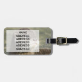 かわいいベビーのカワウソ ラゲッジタグ (正面横)