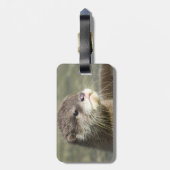 かわいいベビーのカワウソ ラゲッジタグ (裏面縦)