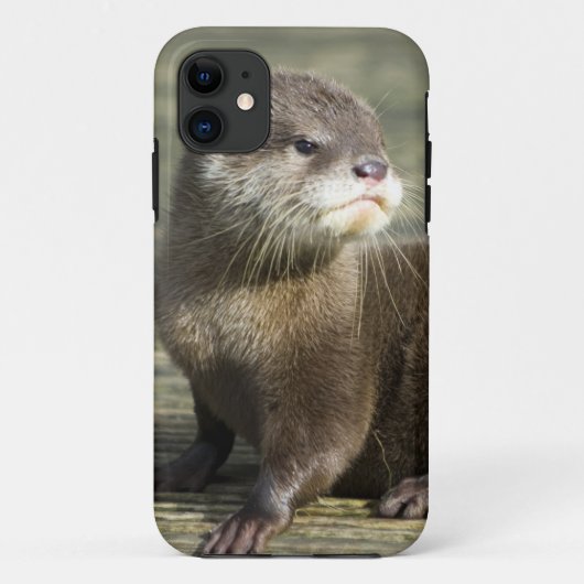 かわいいベビーのカワウソ Case-Mate iPhoneケース (裏面)