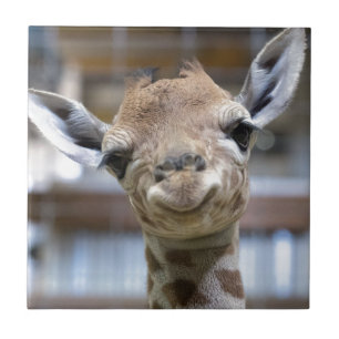 かわいいベビーのキリン タイル