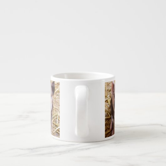 かわいいベビーのコブタの家畜の納屋周囲の庭のベビー エスプレッソカップ (裏面)