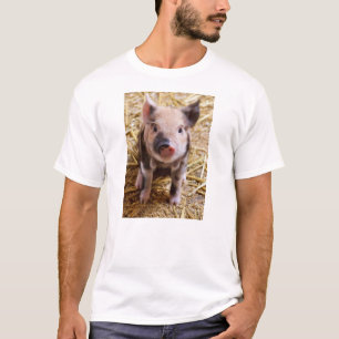 かわいいベビーのコブタの家畜の納屋周囲の庭のベビー Tシャツ