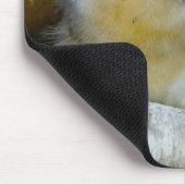 かわいいベビーのツバメが世界を見る|過去記事 マウスパッド (コーナー)