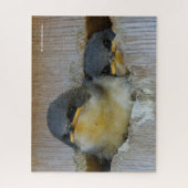 かわいいベビーのツバメが広い世界を見る ジグソーパズル (縦)