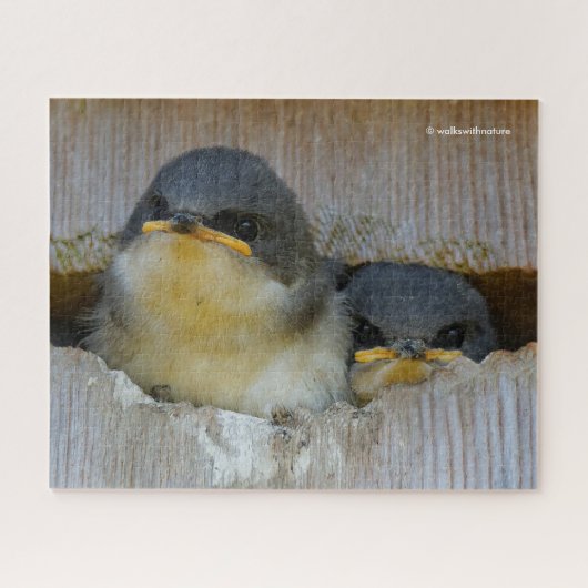 かわいいベビーのツバメが広い世界を見る ジグソーパズル (横)