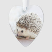 かわいいベビーのハリネズミ動物 オーナメント (正面)