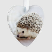 かわいいベビーのハリネズミ動物 オーナメント (正面)