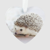 かわいいベビーのハリネズミ動物 オーナメント (裏面)