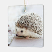 かわいいベビーのハリネズミ動物 セラミックオーナメント (左)
