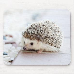 かわいいベビーのハリネズミ動物 マウスパッド