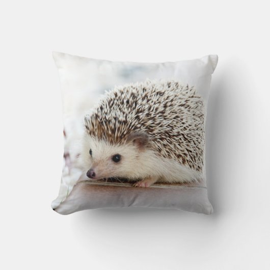 かわいいベビーのハリネズミ クッション (正面)