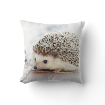 かわいいベビーのハリネズミ