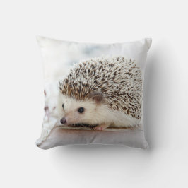 かわいいベビーのハリネズミ クッション