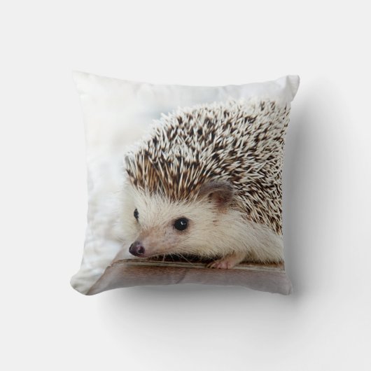 かわいいベビーのハリネズミ クッション (正面)