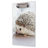 かわいいベビーのハリネズミ クリップボード (左)
