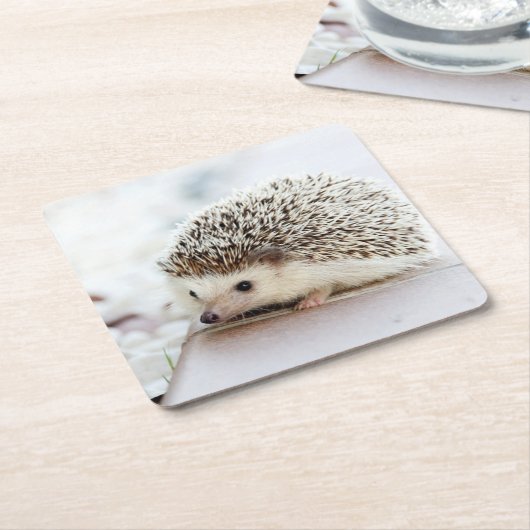 かわいいベビーのハリネズミ スクエアペーパーコースター (アングル)