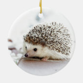 かわいいベビーのハリネズミ セラミックオーナメント (裏面)
