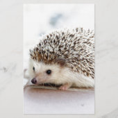 かわいいベビーのハリネズミ 便箋 (正面)