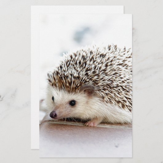 かわいいベビーのハリネズミ 便箋 (正面/裏面)