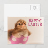 かわいいベビーのヒックでイースターエッグ シーズンポストカード (正面/裏面)