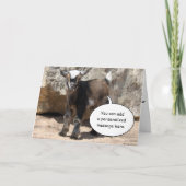 かわいいベビーのヤギの挨拶状 カード (正面)