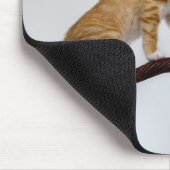 かわいいベビーの猫がおもしろいジムの写真を子猫に マウスパッド (コーナー)