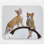 かわいいベビーの猫がおもしろいジムの写真を子猫に マウスパッド (正面)