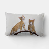 かわいいベビーの猫がおもしろいジムの写真を子猫に – 投げる ランバークッション (裏面)