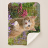 かわいいベビーの猫遊がペットの動物写真集 シェルパブランケット (正面)