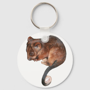 かわいいベビーのRingtailのふくろねずみ キーホルダー