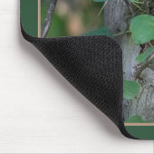 かわいいベビーアライグマ マウスパッド (コーナー)