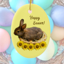 かわいいベビーウサギ – イースターバニー