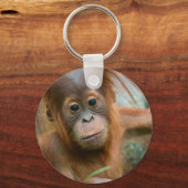 かわいいベビーオランウータンまっすぐ前方を見る キーホルダー (正面)