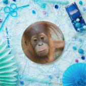 かわいいベビーオランウータンまっすぐ前方を見る ペーパープレート (パーティー)