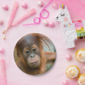 かわいいベビーオランウータンまっすぐ前方を見る ペーパープレート (パーティー)
