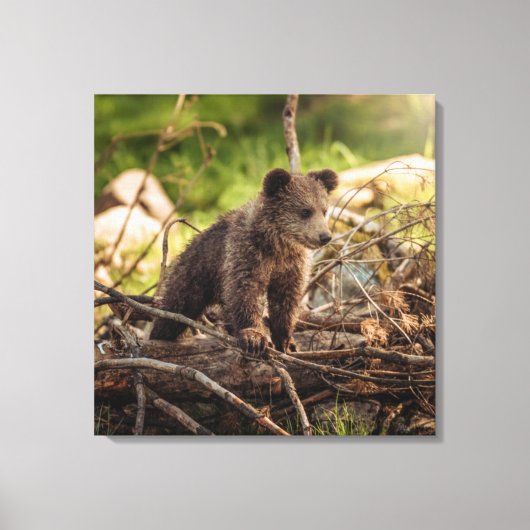 かわいいベビークマin森 キャンバスプリント (正面)