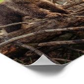 かわいいベビークマin森 ポスター (角)