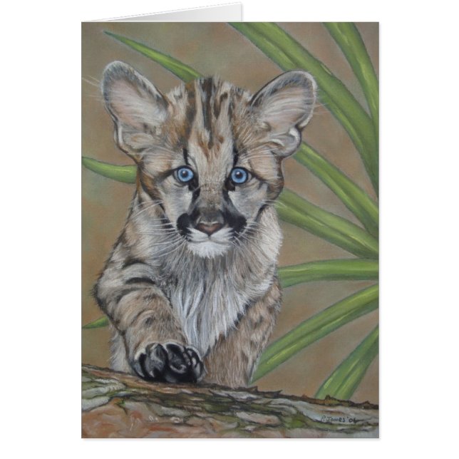 かわいいベビークーガーキットン大きな猫野生動物 (正面)