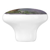 かわいいベビーグレーウルフアップと花 セラミックノブ (側面)