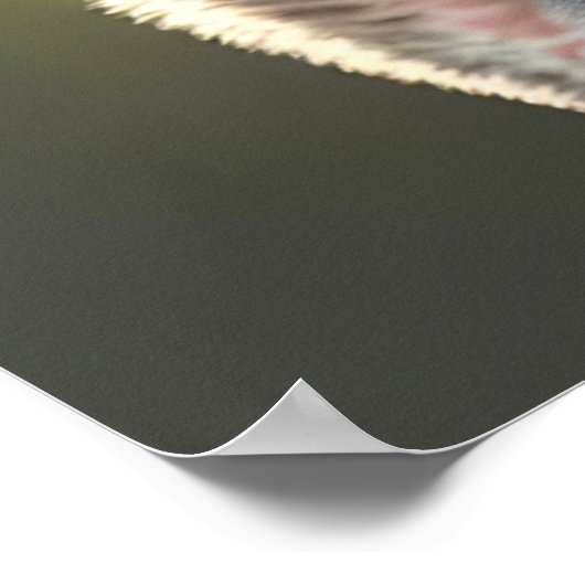 かわいいベビーコアラベアベビーの子供部屋ルーム ポスター (角)