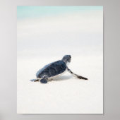 かわいいベビーシータートルオンザビーチ ポスター (正面)