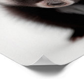 かわいいベビースカンクのポートレート | 1:1 スクエア ポスター (角)