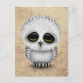 かわいいベビースノーウィークフクロウ老けた食感シック ポストカード (正面)