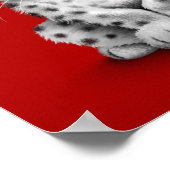 かわいいベビースノーレオパード赤い赤い ポスター (角)