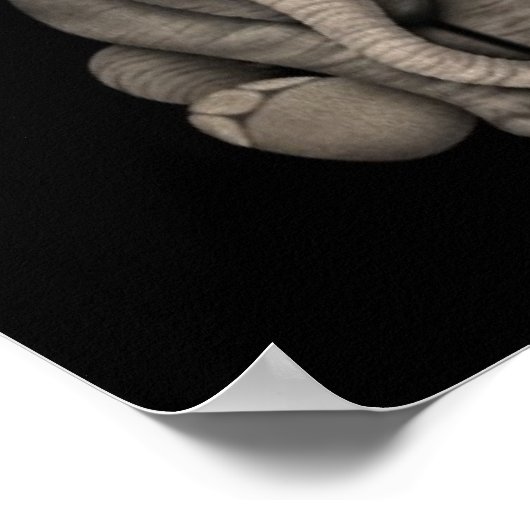 かわいいベビーゾウふくらはぎ座って、黒 ポスター (角)