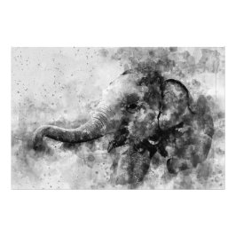 かわいいベビーゾウ黒と白の水色 フォトプリント           