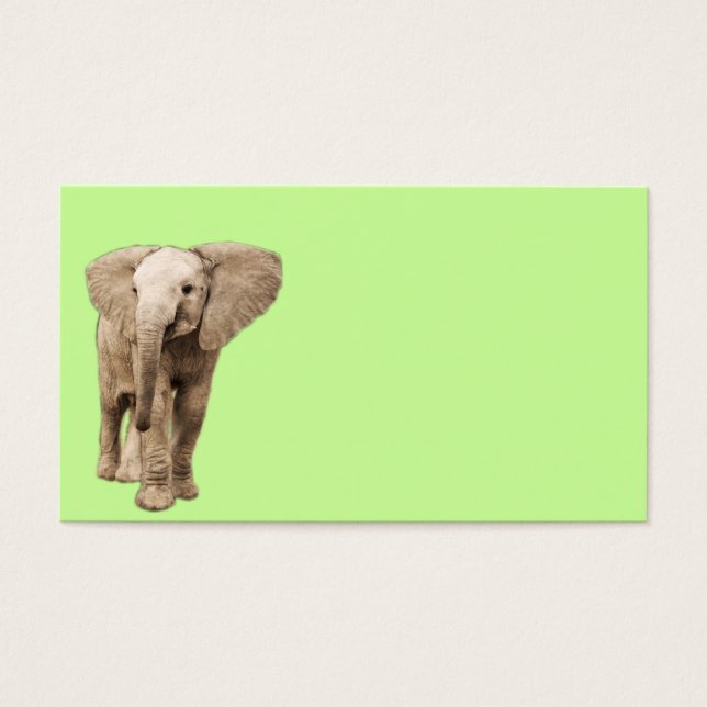かわいいベビーゾウ (正面)