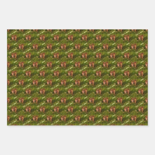 かわいいベビーチップムンクス動物パーソナライズされた芸術 ラッピングペーパーシート (正面3)