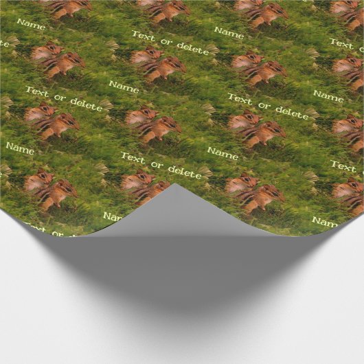 かわいいベビーチップムンクス動物パーソナライズされた芸術 ラッピングペーパー (角)